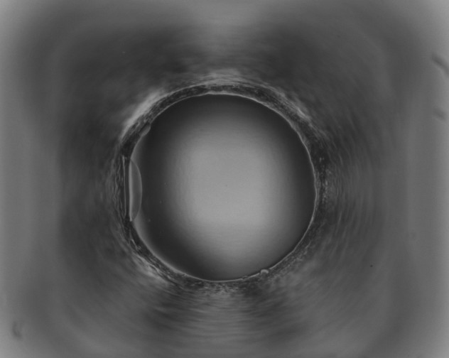 X0000091591400200708271232