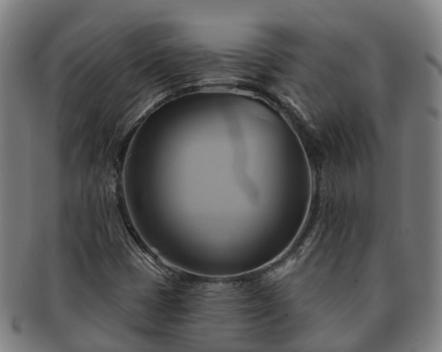 X0000091591401200708271232
