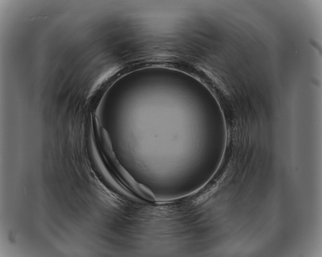 X0000091591402200708271232
