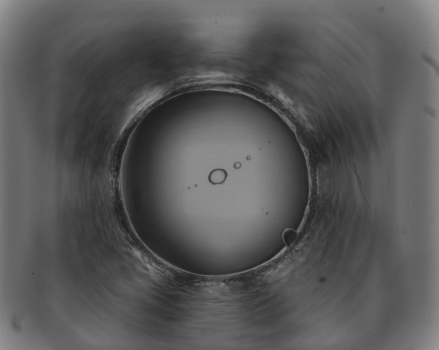 X0000091591405200708271232