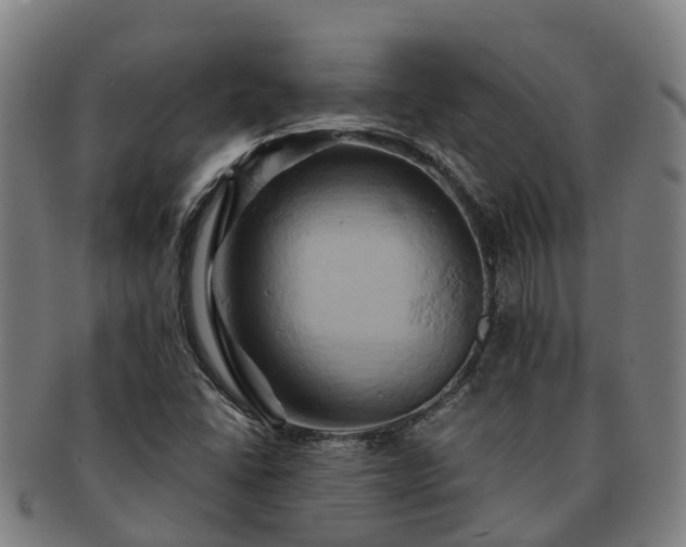X0000091591406200708271232