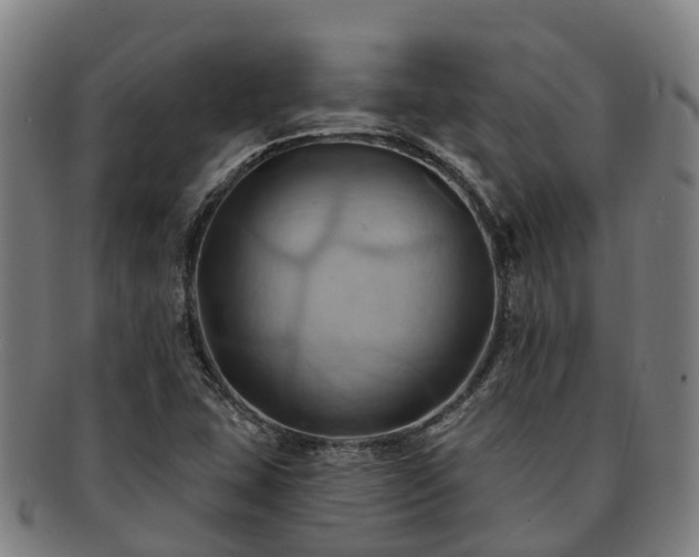 X0000091591407200708271232