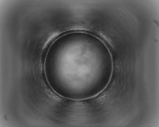 X0000091591408200708271232
