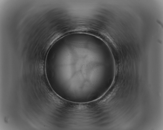 X0000091591409200708271232