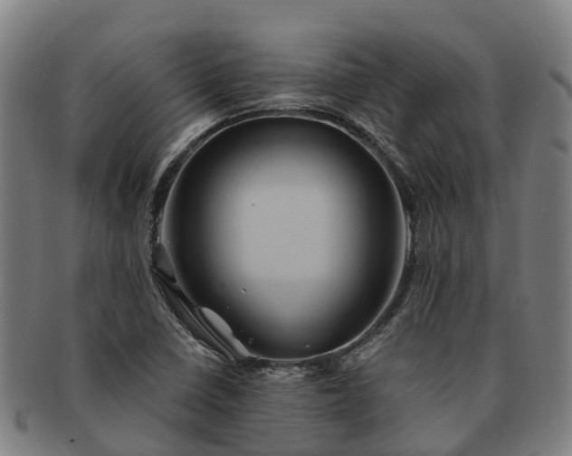 X0000091591410200708271232