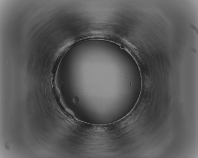 X0000091591411200708271232