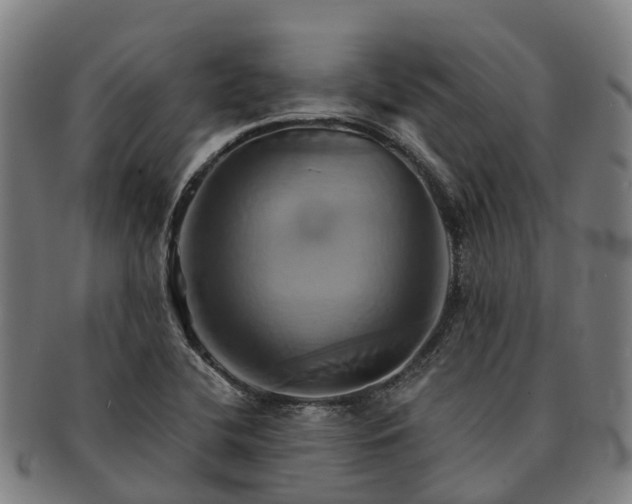 X0000091591412200708271232