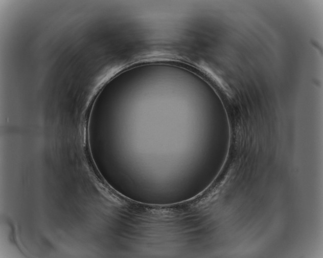 X0000091591413200708271233