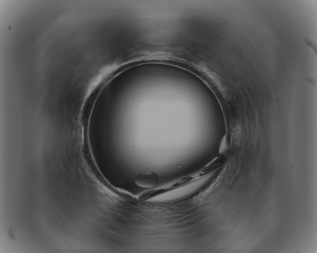X0000091591414200708271233