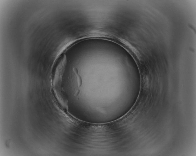 X0000091591415200708271233