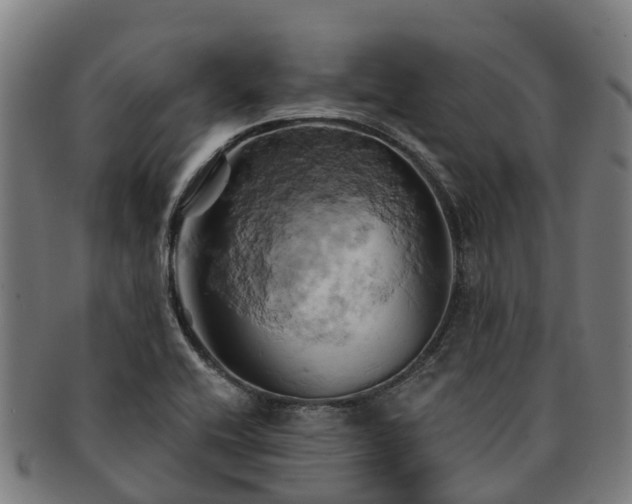 X0000091591416200708271233