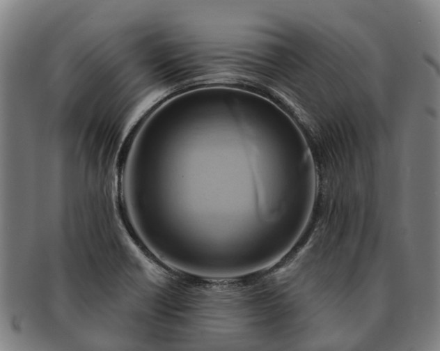 X0000091591418200708271233