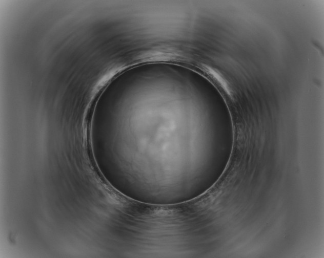 X0000091591419200708271233