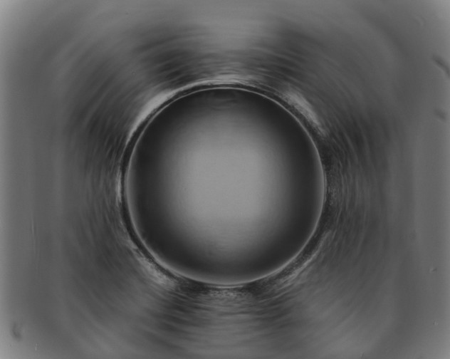 X0000091591420200708271233