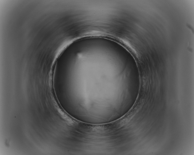 X0000091591421200708271233