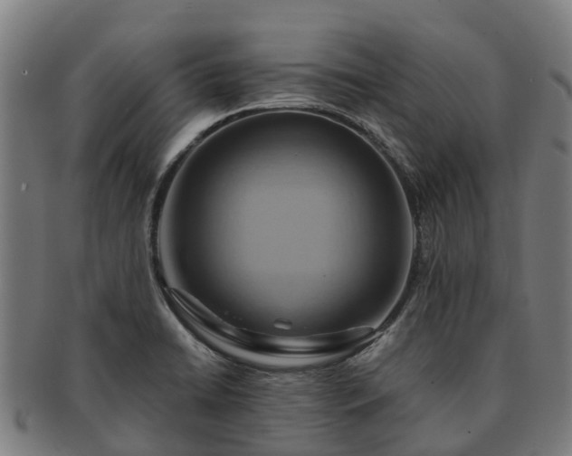 X0000091591422200708271233