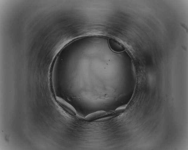 X0000091591423200708271233