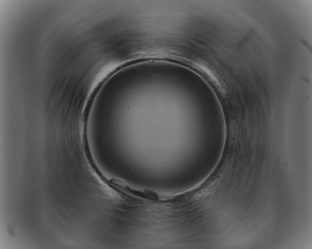 X0000091591424200708271233