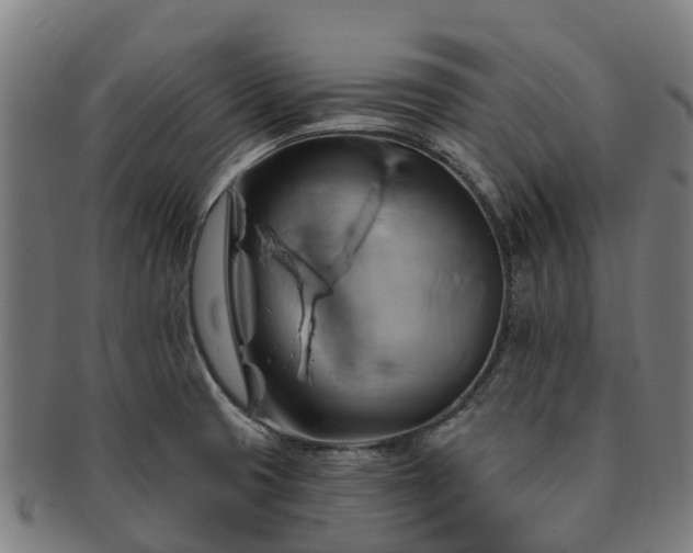 X0000091591425200708271233