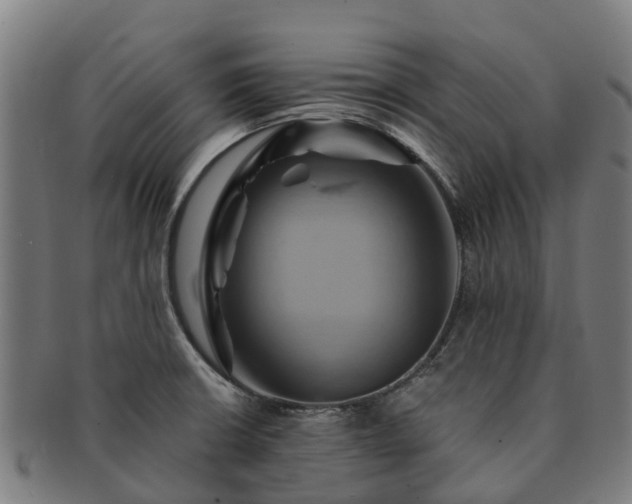 X0000091591426200708271233