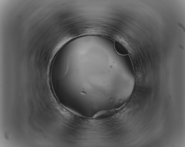 X0000091591427200708271233