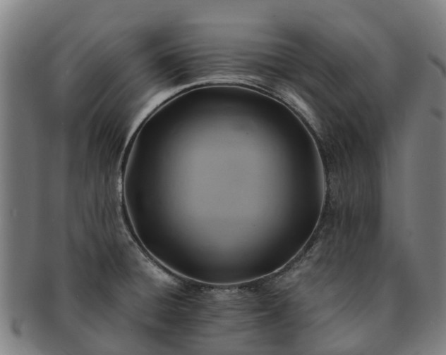 X0000091591428200708271233