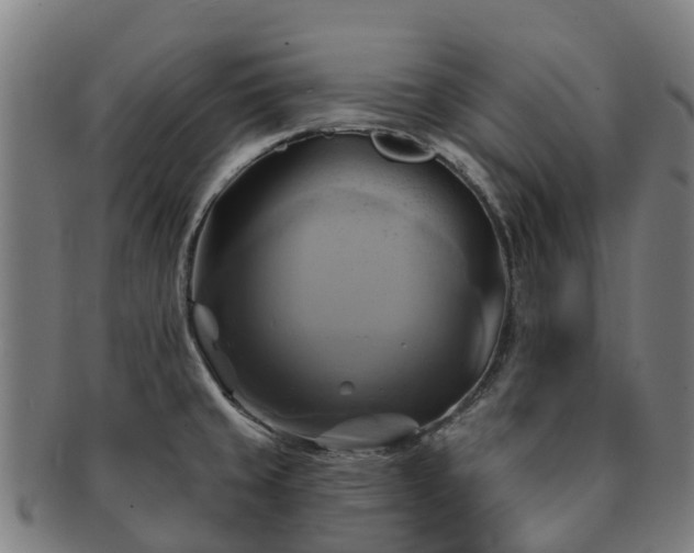 X0000091591429200708271233