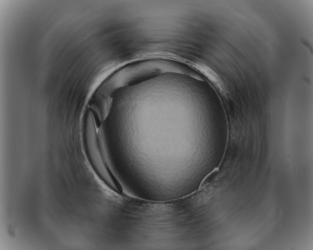 X0000091591430200708271233