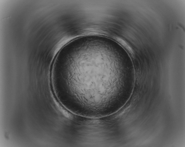 X0000091591431200708271233
