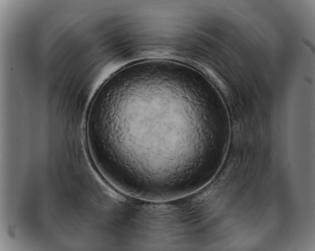 X0000091591432200708271233