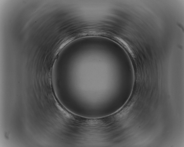 X0000091591433200708271233