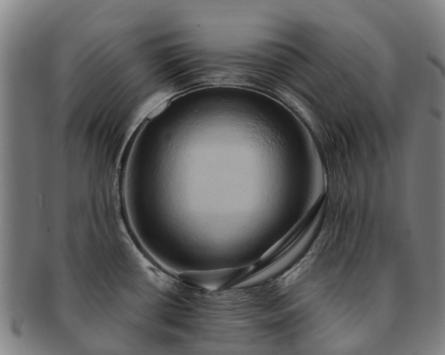 X0000091591434200708271233