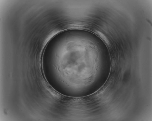 X0000091591435200708271233