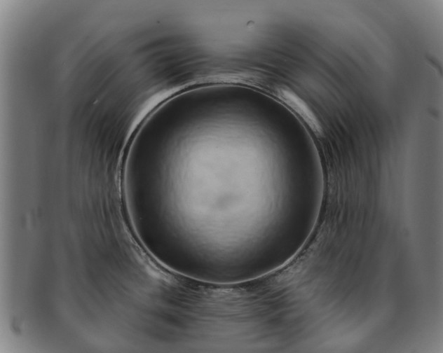 X0000091591436200708271233