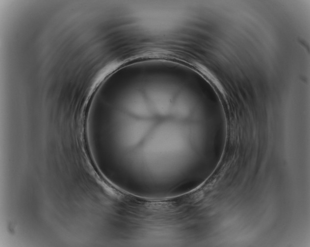 X0000091591437200708271233