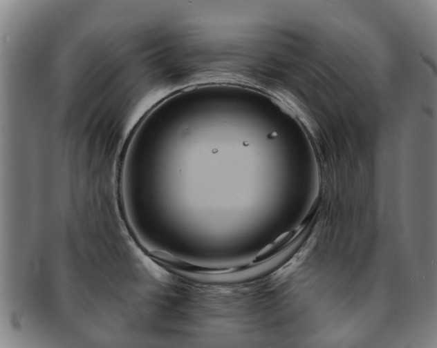 X0000091591438200708271233