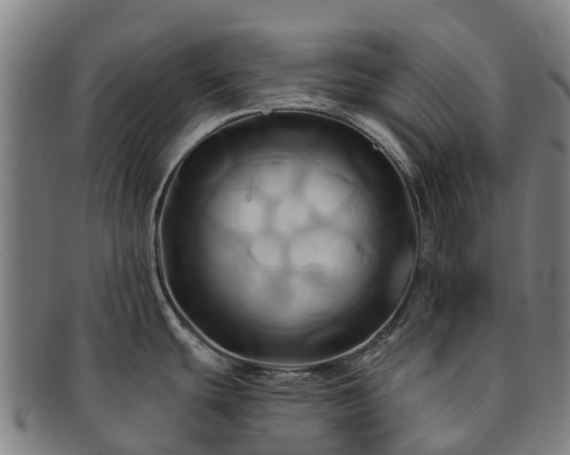 X0000091591439200708271233