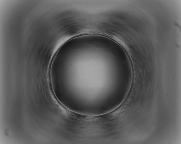 X0000091591440200708271233