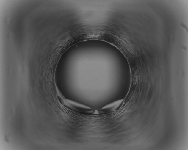 X0000091591441200708271232