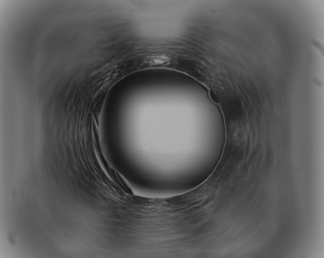 X0000091591442200708271232
