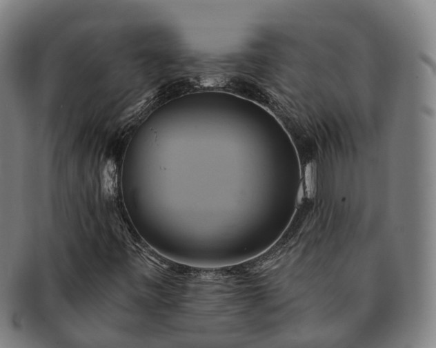 X0000091591443200708271232