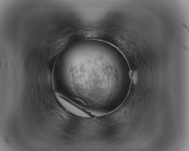 X0000091591444200708271232