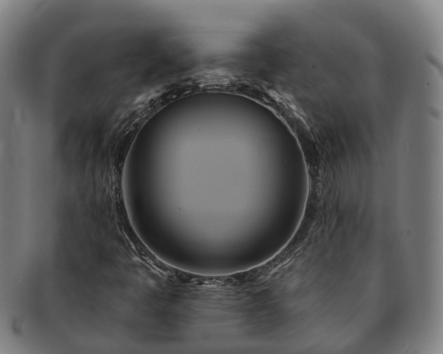X0000091591445200708271232