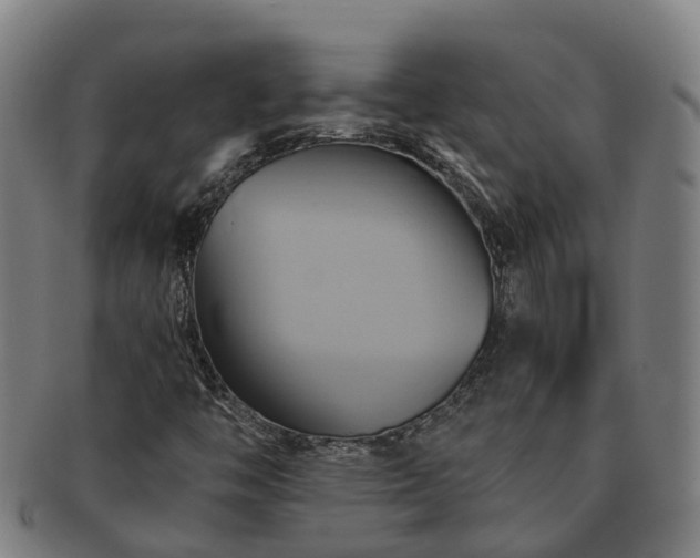 X0000091591446200708271232
