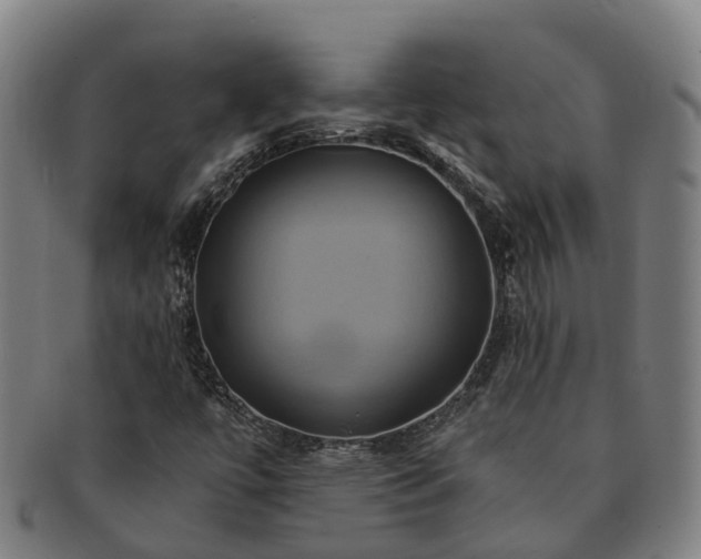 X0000091591447200708271232
