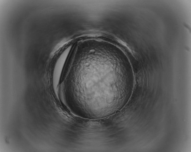 X0000091591448200708271232