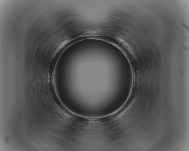 X0000091591449200708271232