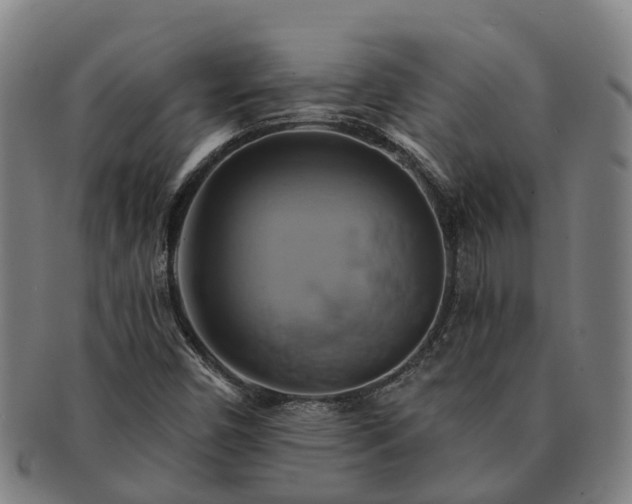 X0000091591450200708271232