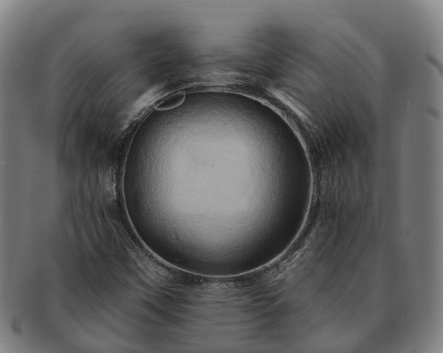 X0000091591451200708271232