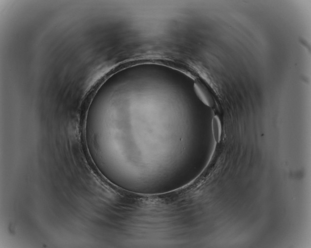 X0000091591452200708271232